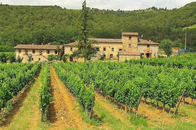 Castelli Del Grevepesa Rosso Di Toscana