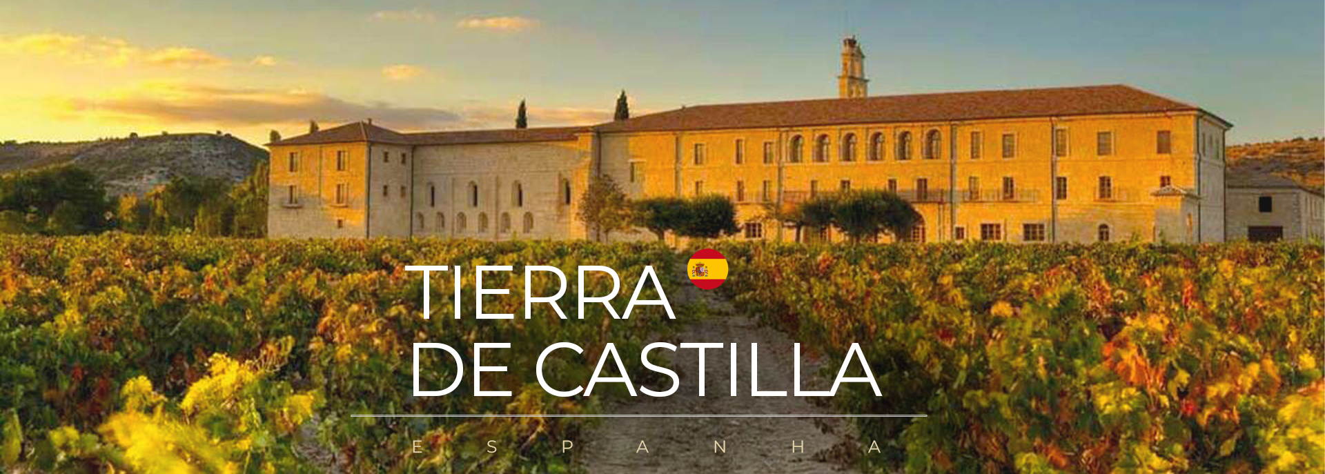 Tierra de Castilla - Espanha