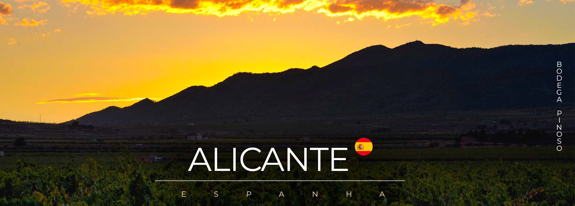 Alicante