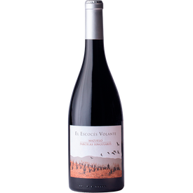 El Escocés Volante Mazuelo D.O.P Calatayud - 4U Wine