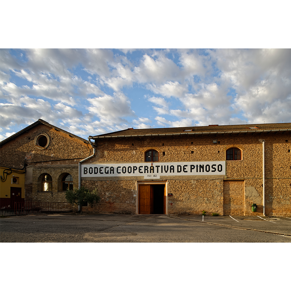 Bodegas Pinoso Alicante Vergel Blanco