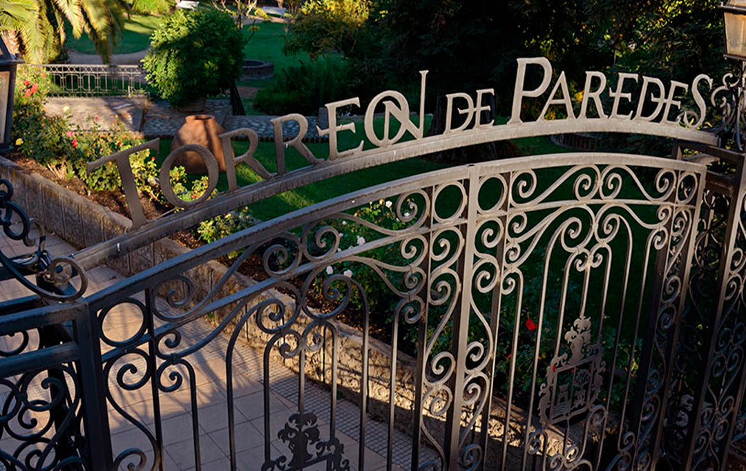 Torreón de Paredes Reserva Cabernet Sauvignon