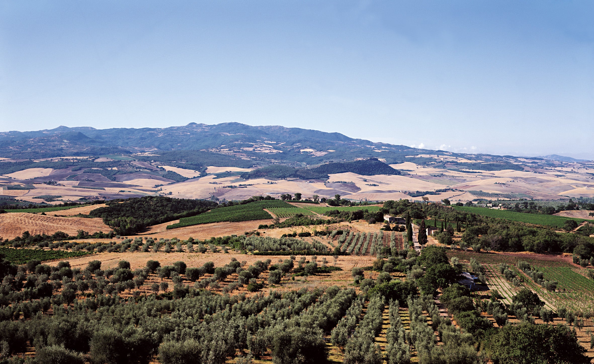 Tenuta Di Sesta Brunello Di Montalcino