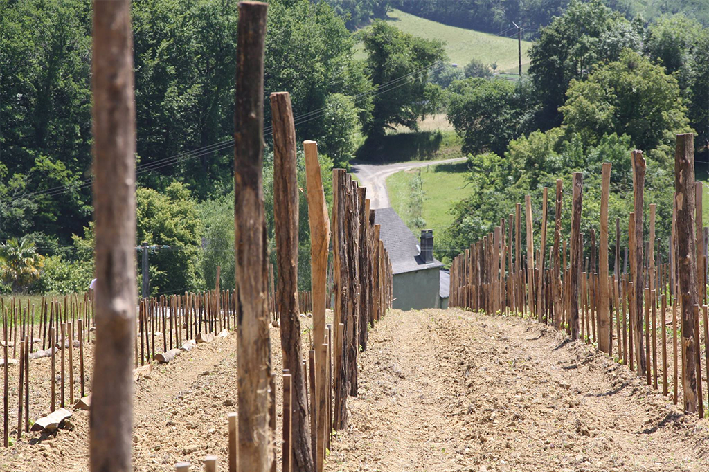 Domaine Nigri Juraçon Pas De Deux