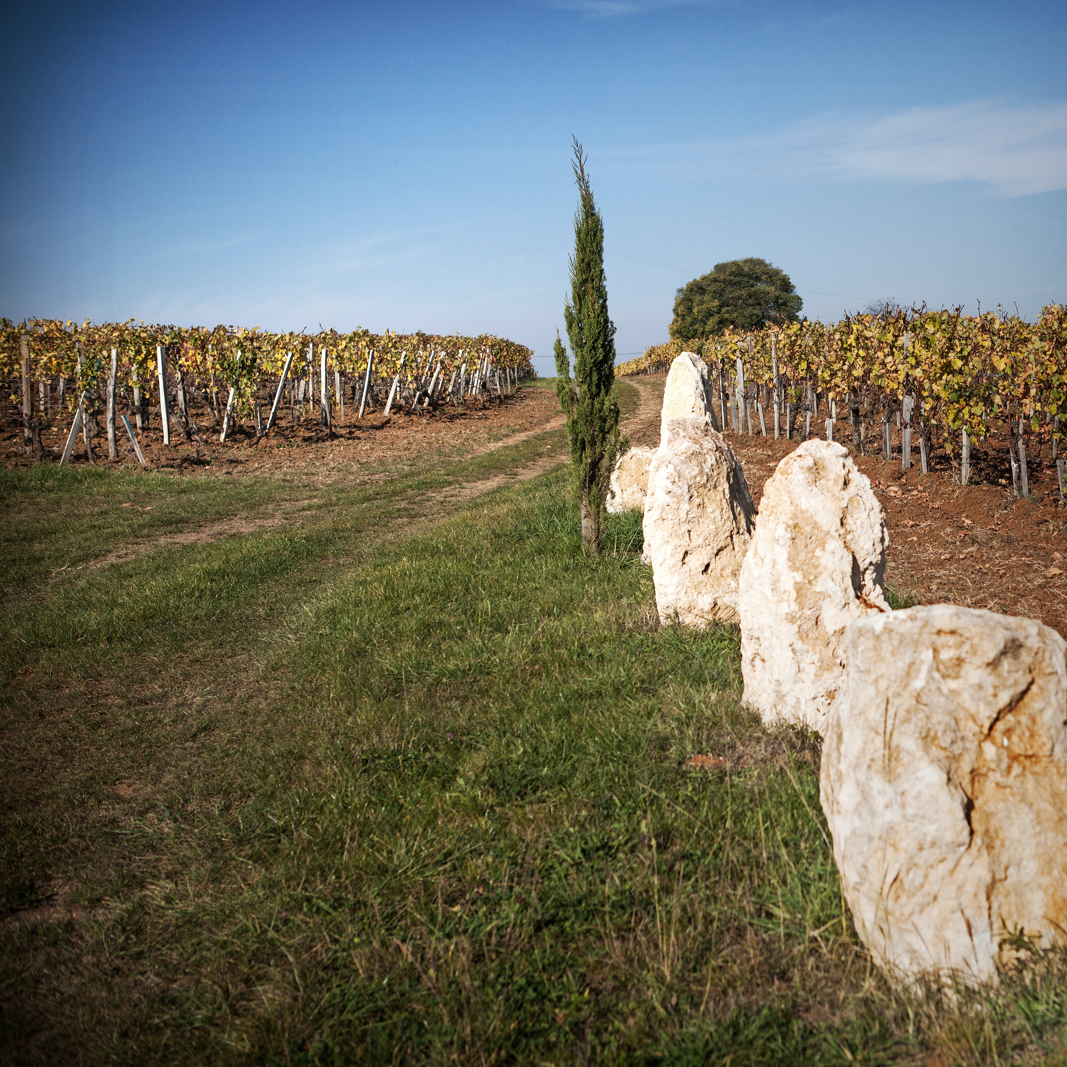 Château Clarisse Puisseguin Saint Emilion